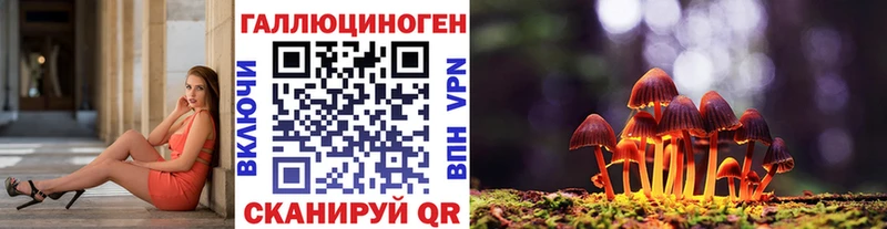 Купить  Дальнегорск  Галлюциногенные грибы прущие грибы 